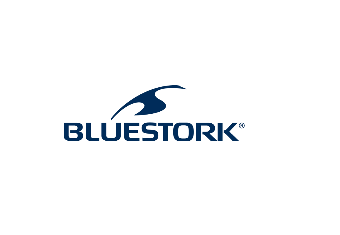 image de logo bluestork