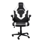 image de Chaise Gaming Trust GXT703R RIYE / Noir & Blanc
