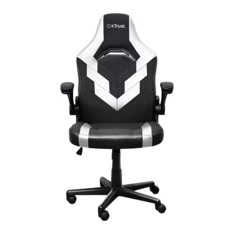 image de Chaise Gaming Trust GXT703R RIYE / Noir & Blanc