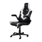 image de Chaise Gaming Trust GXT703R RIYE / Noir & Blanc