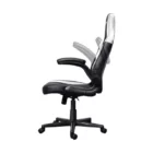 image de Chaise Gaming Trust GXT703R RIYE / Noir & Blanc