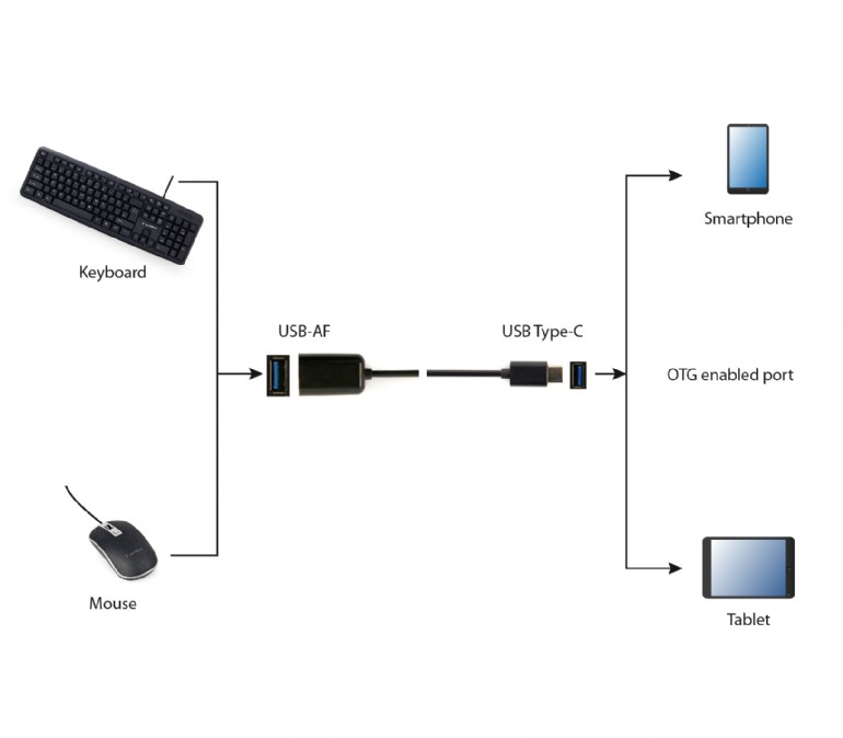 image de Adaptateur Gembird type-C USB 2.0 (CM/AF) blister