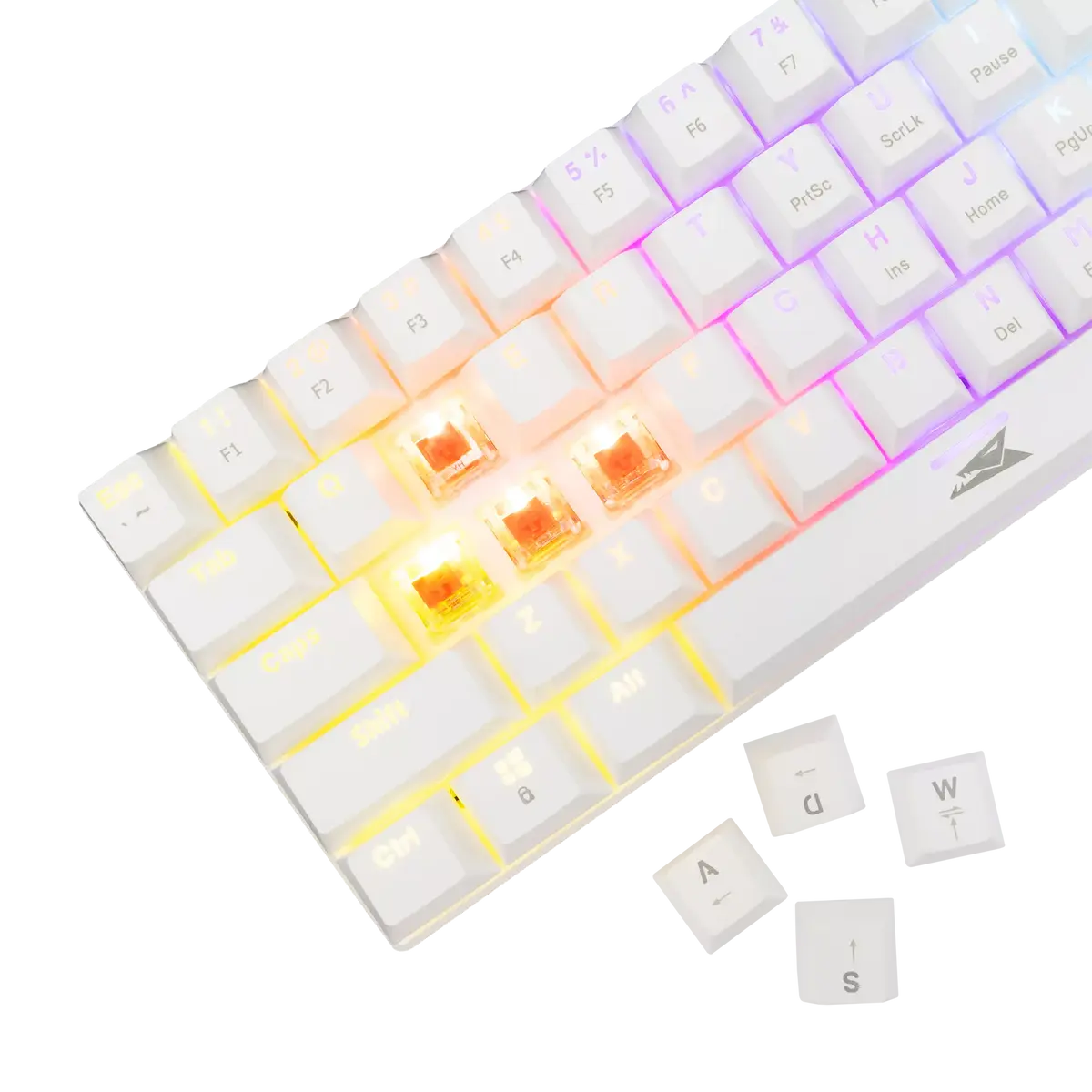 image de Clavier Baracuda DOLPHIN White - Red switch