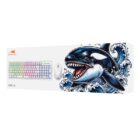 image de Ensemble Clavier + Souris Filaire BARACUDA ORCA - Blanc