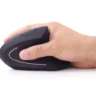 image de Souris sans fil GEMBIRD MUSW-ERGO-01 ergonomique - Noir