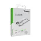 image de Câble Belkin Boost Charge USB-A vers USB-C 1M Blanc (2 Pack)